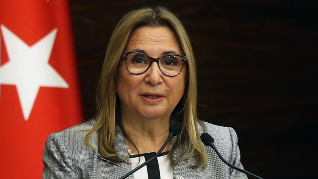 Denetimlerde Güvensiz 18 Milyon Ürüne Geçit Verilmedi