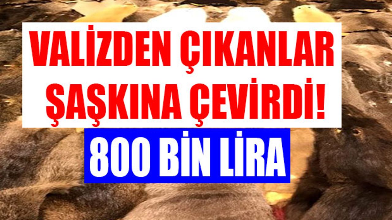 Valizden Çıkanlara İnanamadılar 800 Bin Lira Değerinde