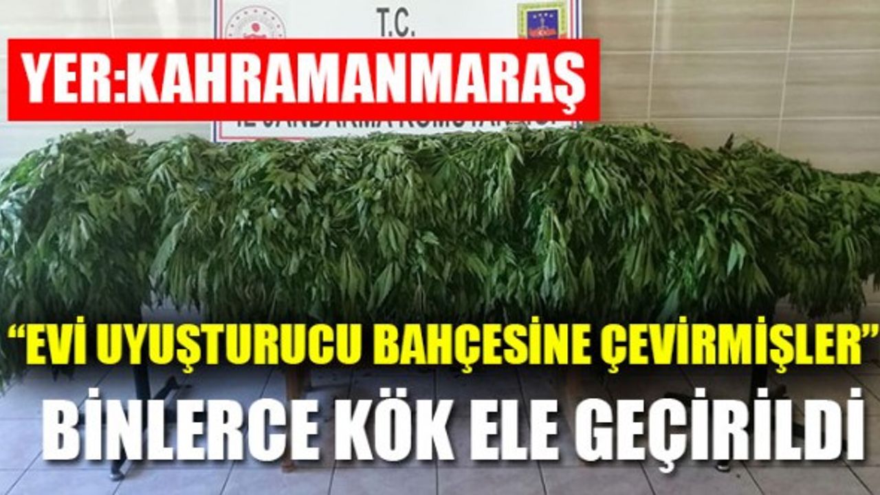 Kahramanmaraş'ta Uyuşturucu Operasyonu: 1 Gözaltı