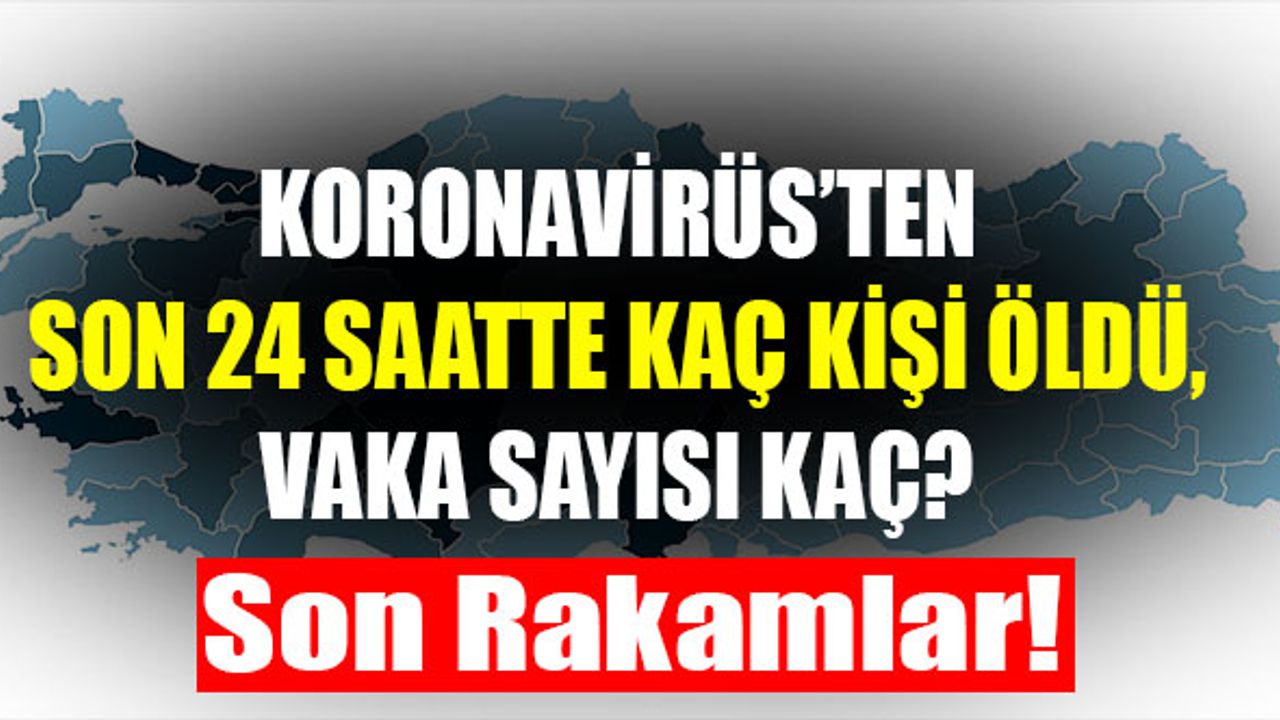 Türkiye Koronavirüs Vaka ve Ölü Sayısı 6 Haziran 2020