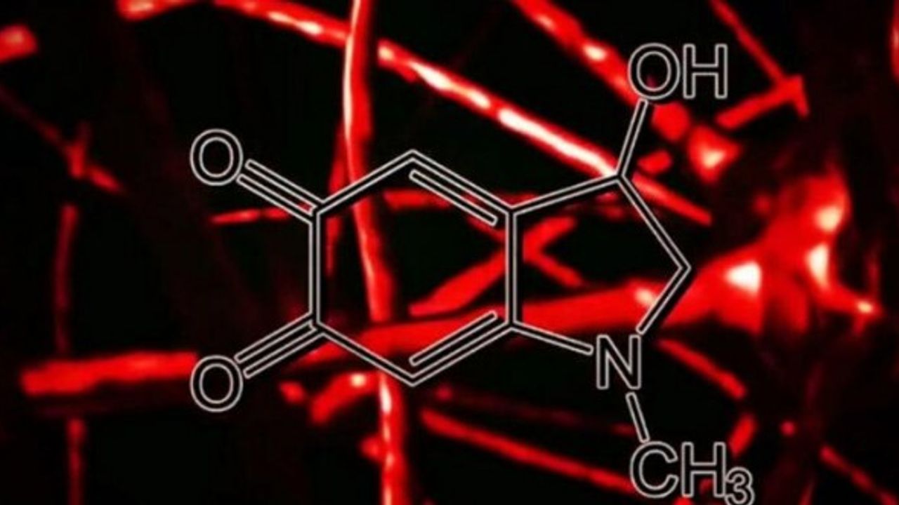 Adrenochrome Nedir? Hangi Ünlüler Kullanıyor?