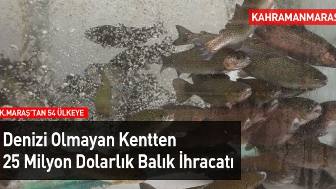 Denizi Olmayan Kahramanmaraş'tan 54 Ülkeye Balık İhracatı Yapılıyor