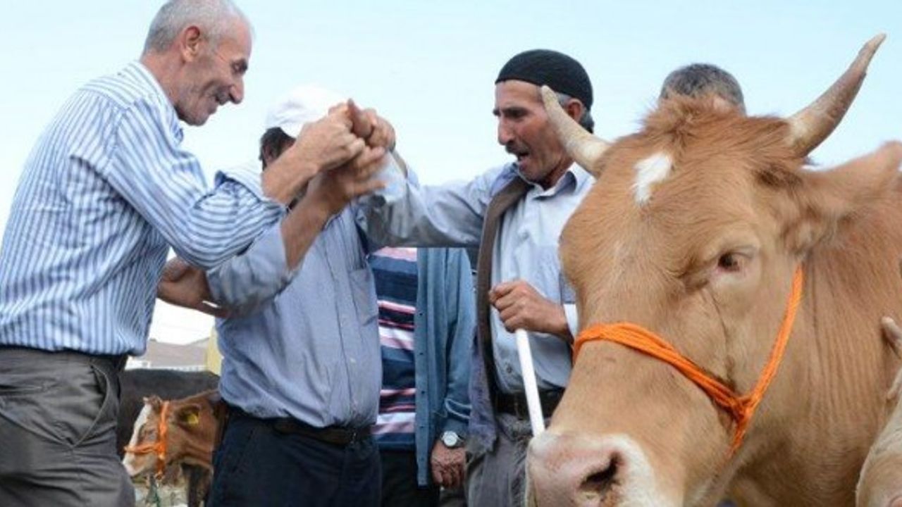 Kahramanmaraş'ta Kurban Kesim Yerleri Belli Oldu