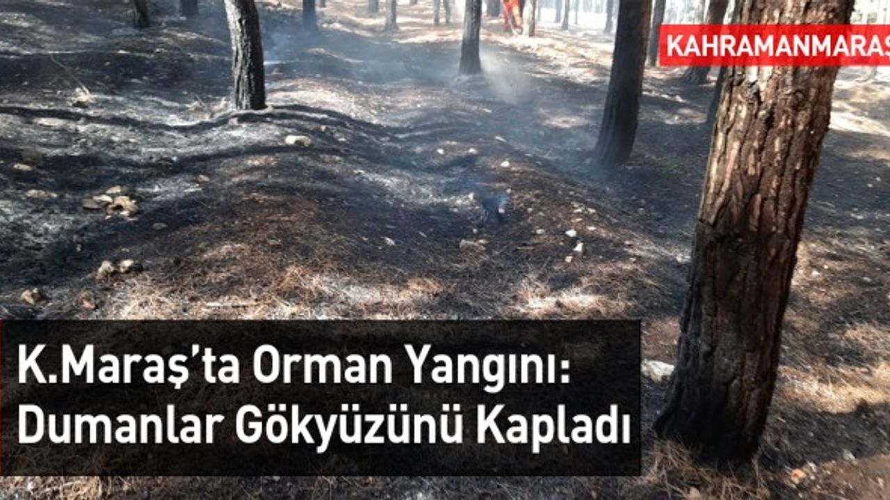 Kahramanmaraş'ta Orman Alev Aldı
