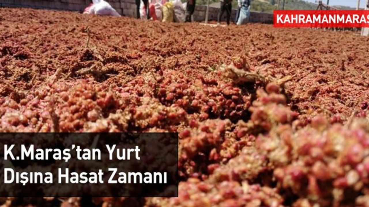 Kahramanmaraş'ın Coğrafi Tescilli Ürünü Koronavirüse Birebir