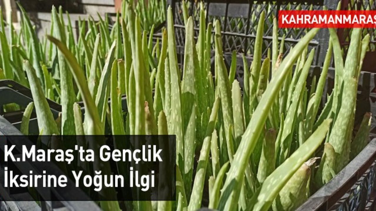 Kahramanmaraş'ta Gençlik İksirine Yoğun İlgi