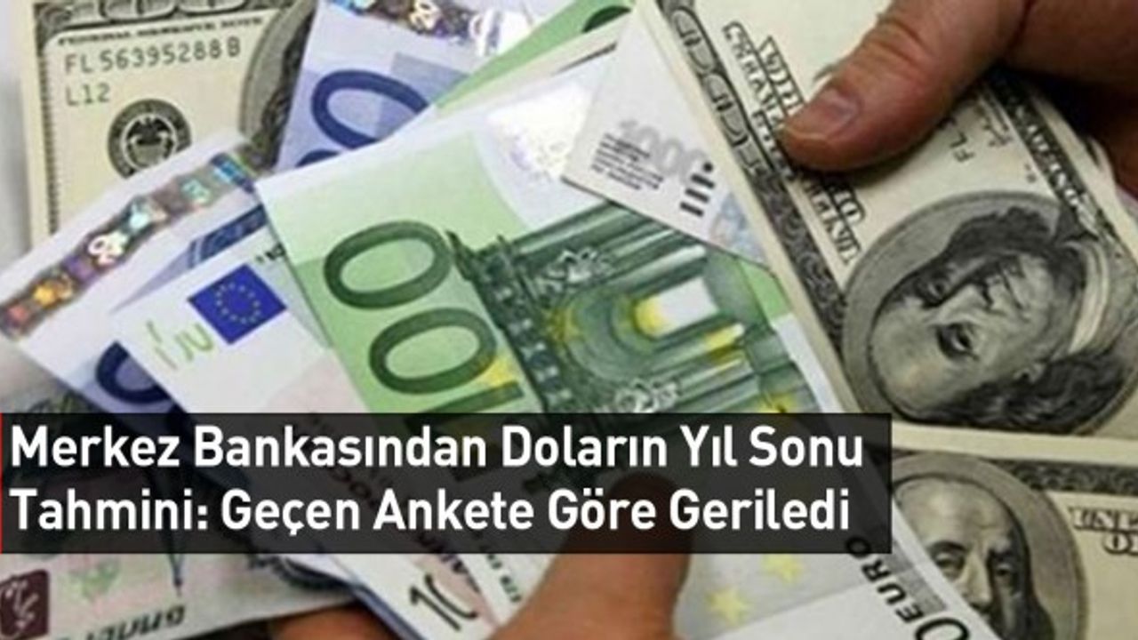 Merkez Bankasından Doların Yıl Sonu Tahmini: Geçen Ankete Göre Geriledi