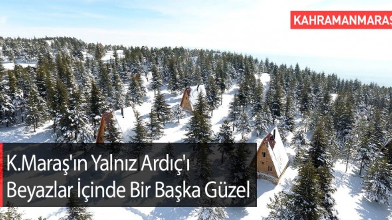 Kahramanmaraş'ın Yalnız Ardıç'ı Beyazlar İçinde Bir Başka Güzel