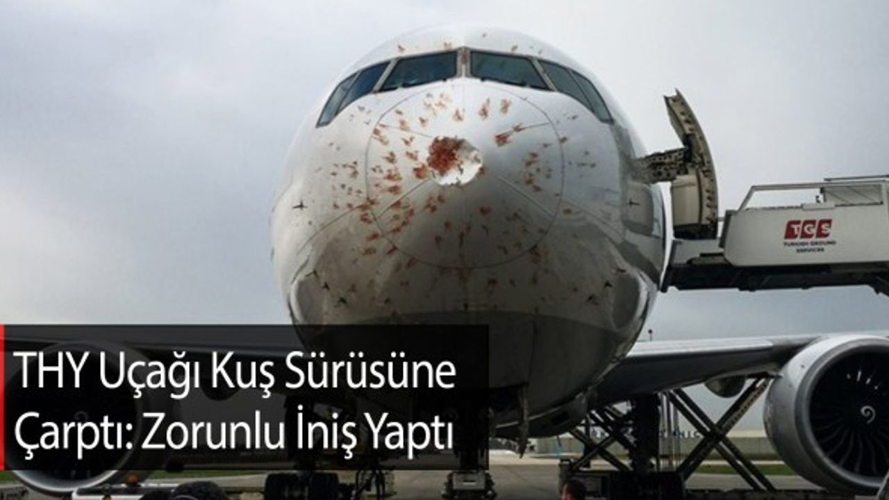 THY Uçağı Kuş Sürüsüne Çarptı: Zorunlu İniş Yaptı