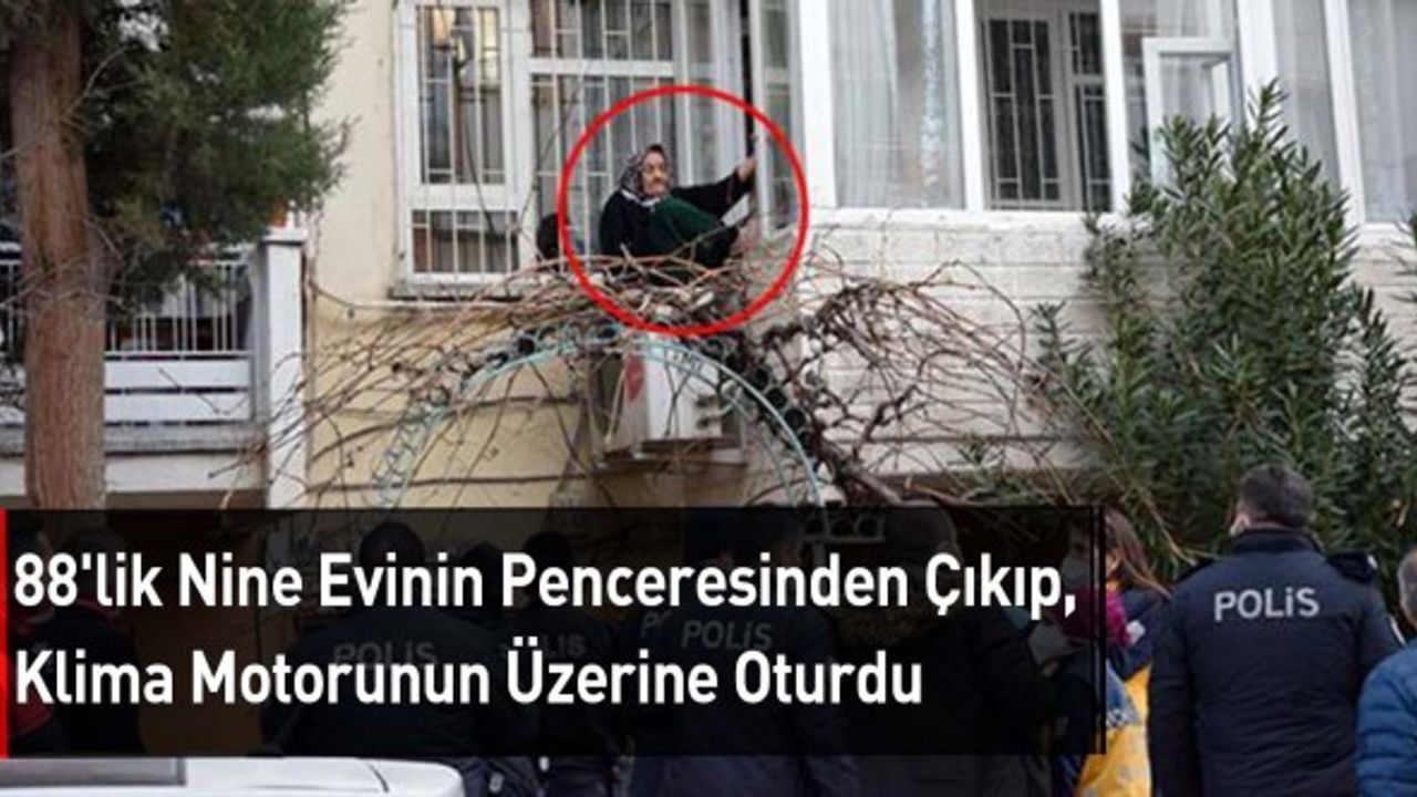 88'lik Nine Evinin Penceresinden Çıkıp, Klima Motorunun Üzerine Oturdu