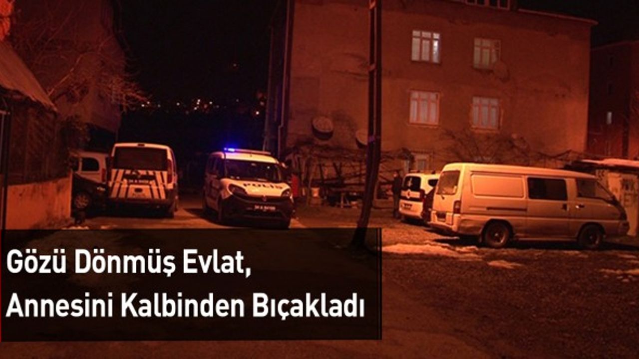 Gözü Dönmüş Evlat, Annesini Kalbinden Bıçakladı