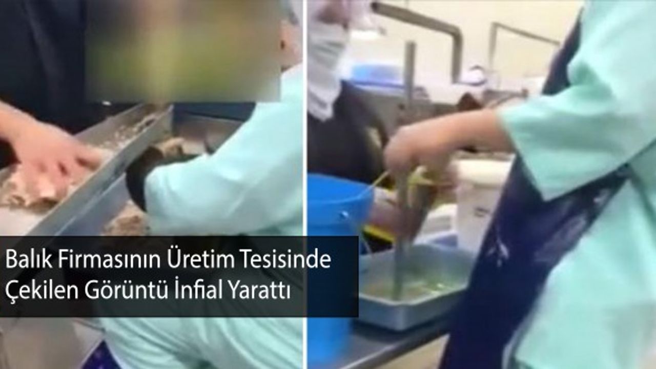 Ton Balığı Firmasında Hijyen Kuralları Hiçe Sayıldı