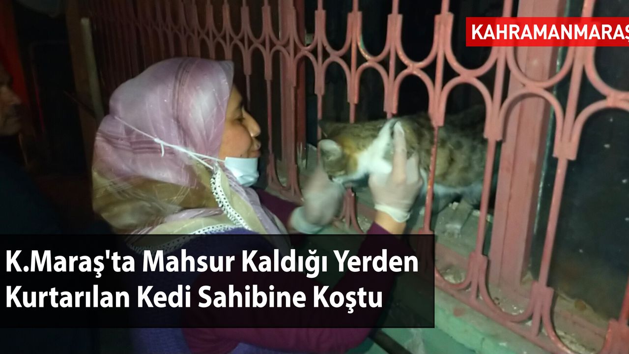 Kahramanmaraş'ta Mahsur Kaldığı Yerden Kurtarılan Kedi Sahibine Koştu