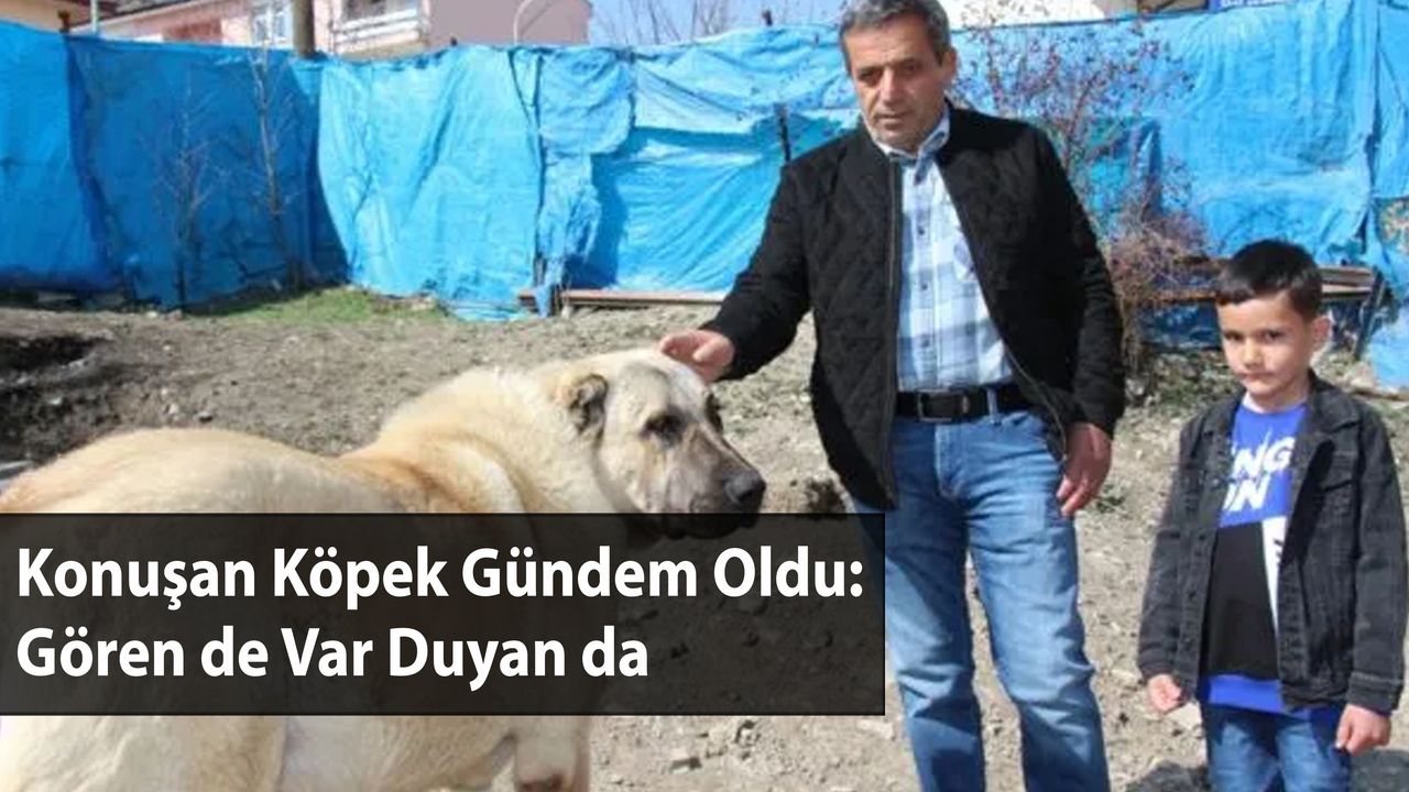 Konuşan Köpek Gündem Oldu: Gören de Var Duyan da