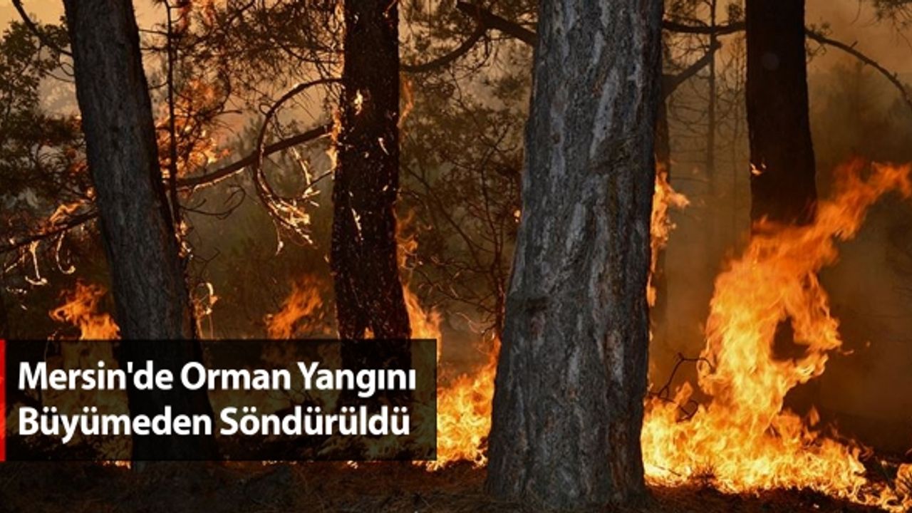 Mersin'de Orman Yangını Büyümeden Söndürüldü