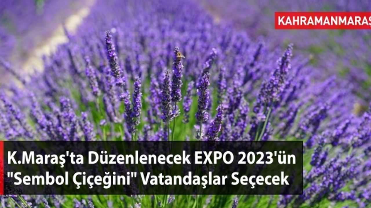 Kahramanmaraş'ta Düzenlenecek EXPO 2023'ün "Sembol Çiçeğini" Vatandaşlar Seçecek