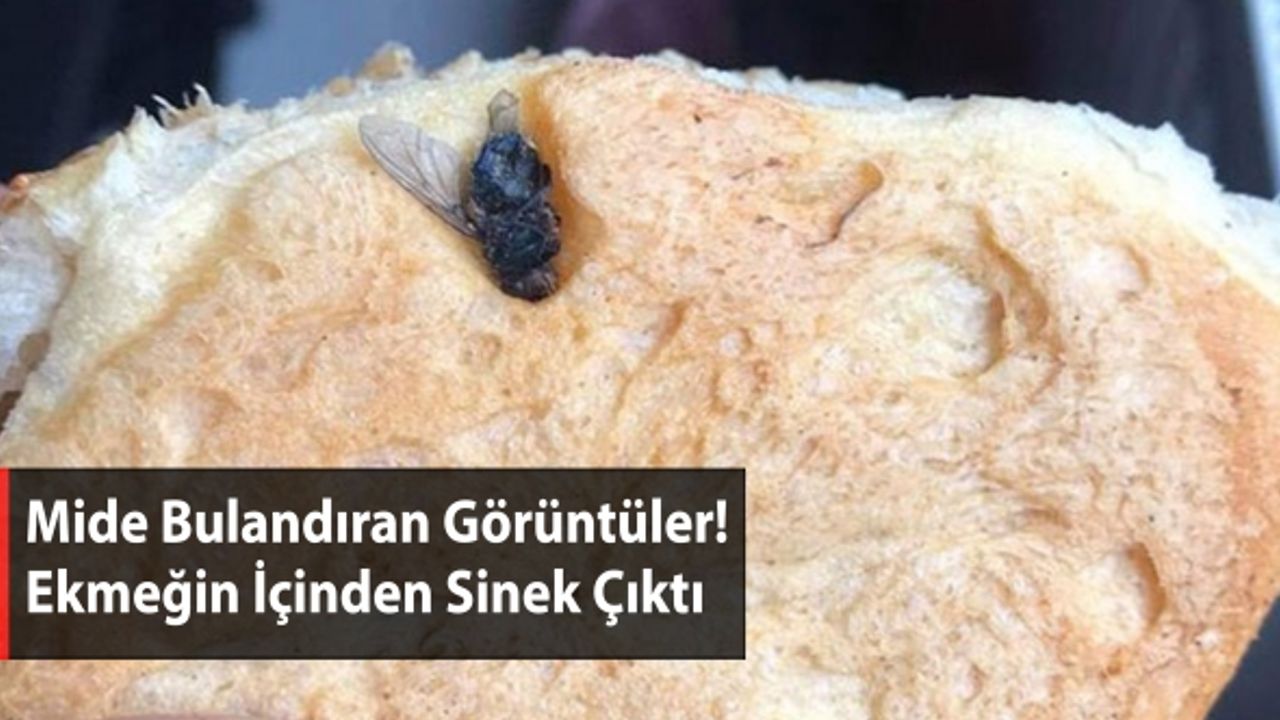 Mide Bulandıran Görüntüler: Ekmeğin İçinden Sinek Çıktı