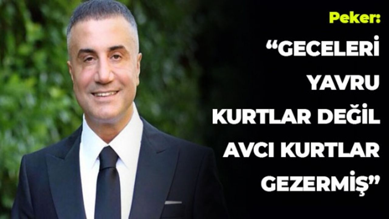 Peker: "Geceleri Yavru Kutlar Değil Avcı Kurtlar Gezermiş"