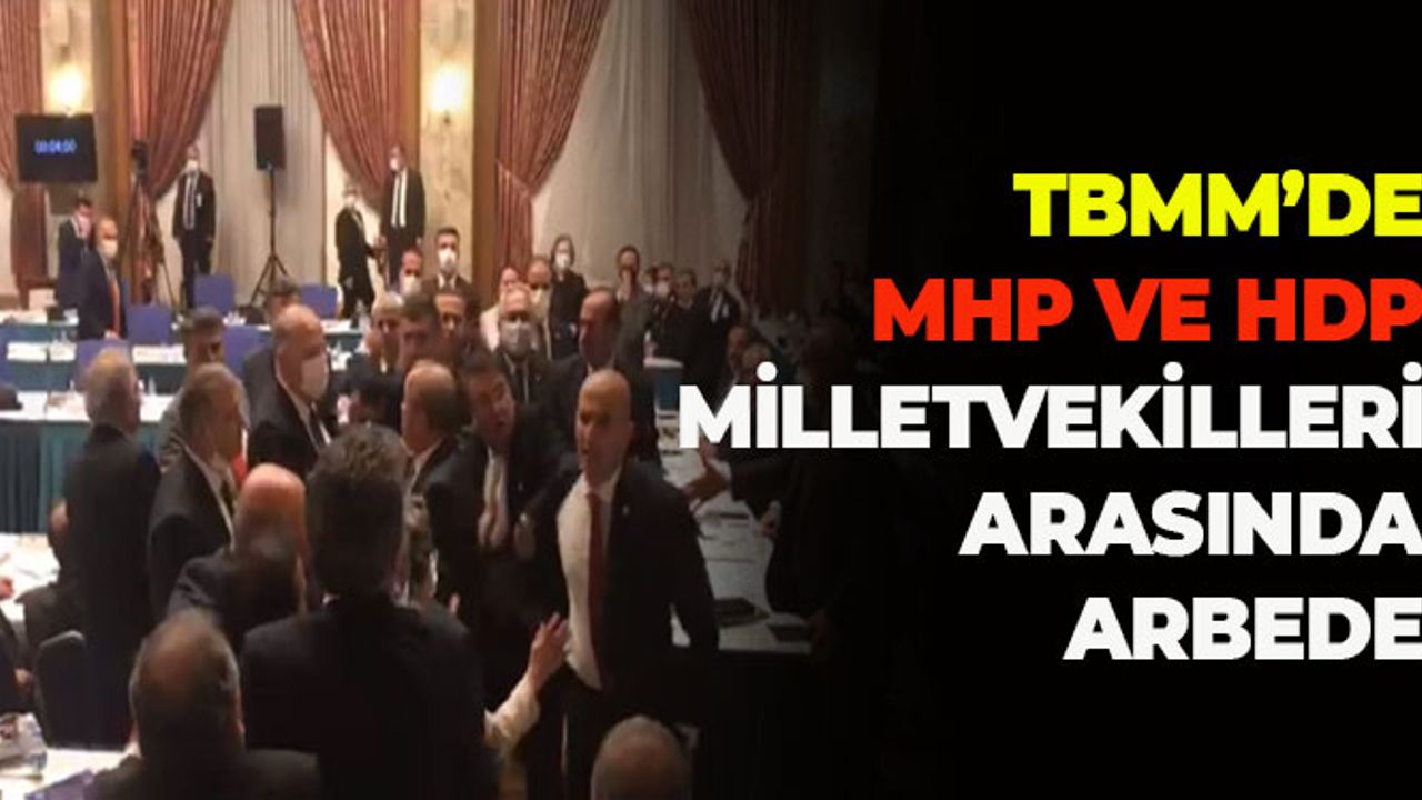 TBMM'de MHP ve HDP Milletvekilleri Arasında Arbede