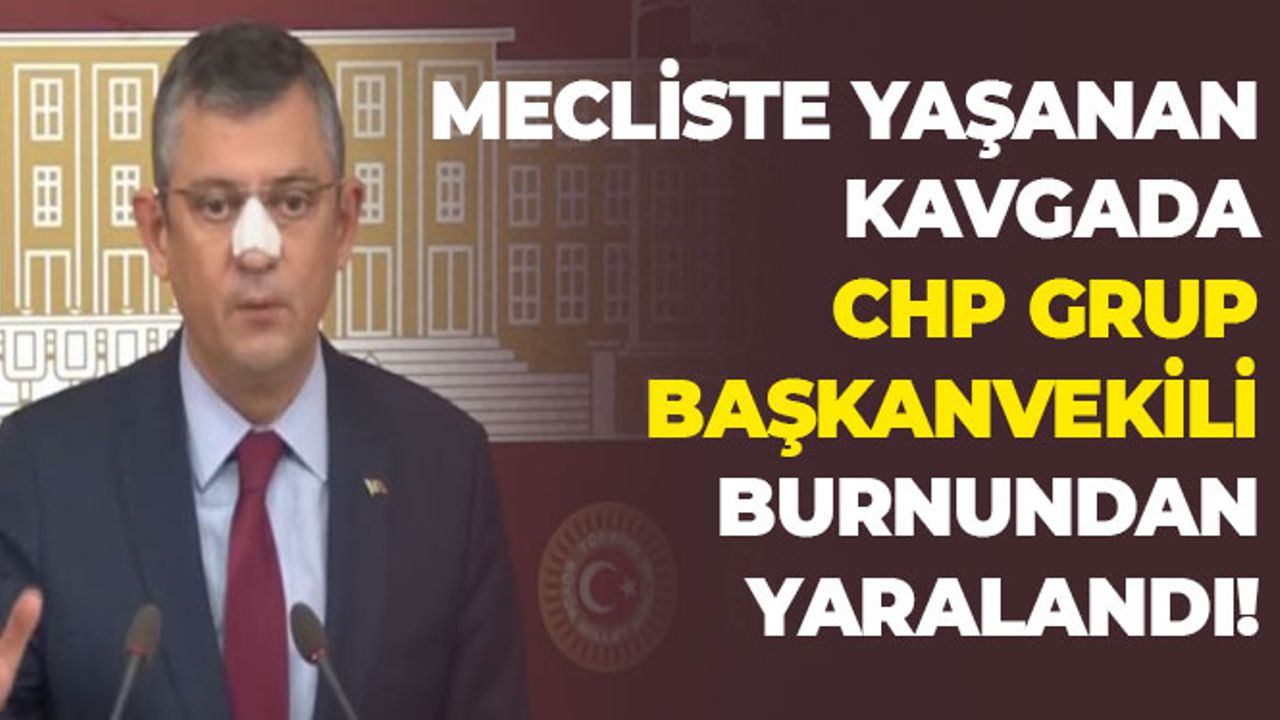 Mecliste Yaşanan Kavgada CHP Grup Başkanvekili Burnundan Yaralandı