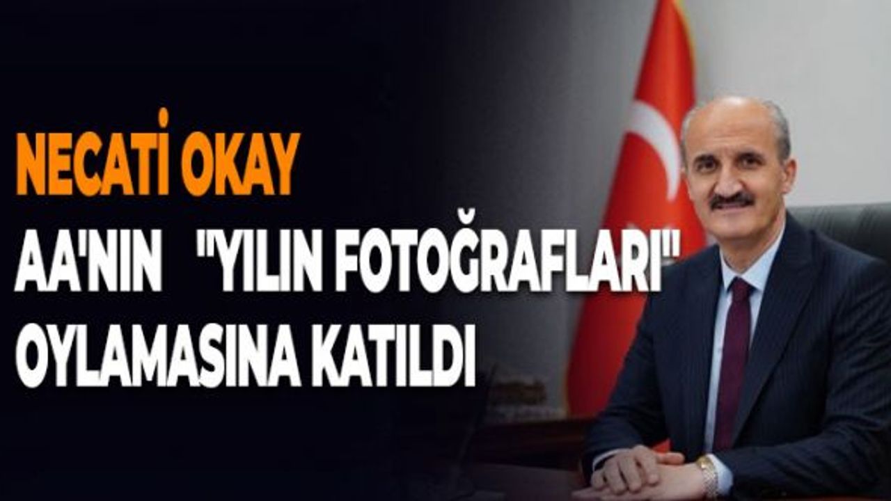 Necati Okay, AA'nın "Yılın Fotoğrafları" Oylamasına Katıldı