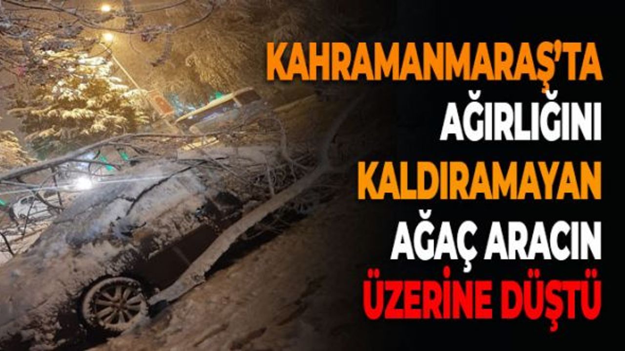 Kahramanmaraş'ta Ağırlığını Kaldıramayan Ağaç Aracın Üzerine Düştü