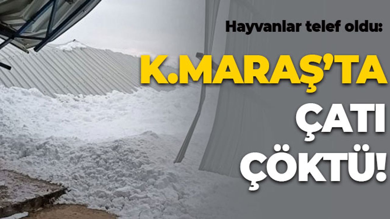 Kahramanmaraş'ta Çatı Çöktü: Hayvanlar Telef Oldu