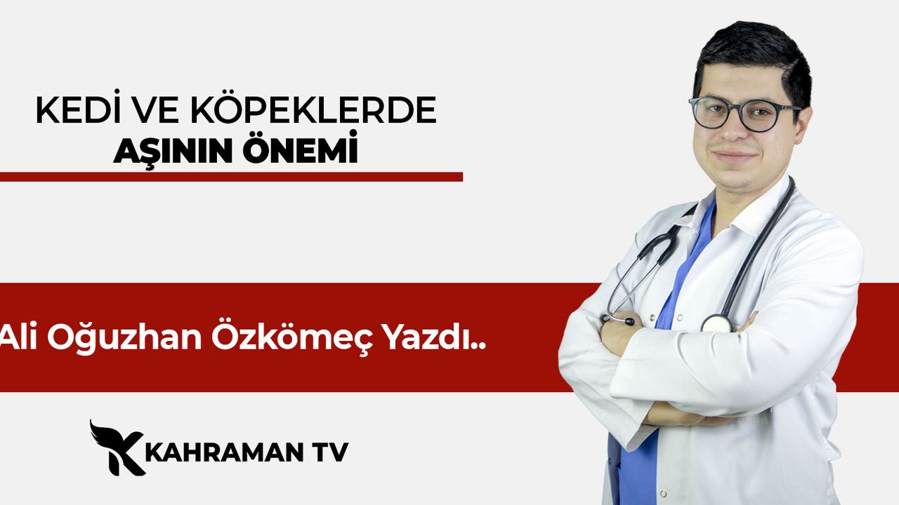 Ali Oğuzhan Özkömeç Yazdı: "Kedi Ve Köpeklerde Aşının Önemi"