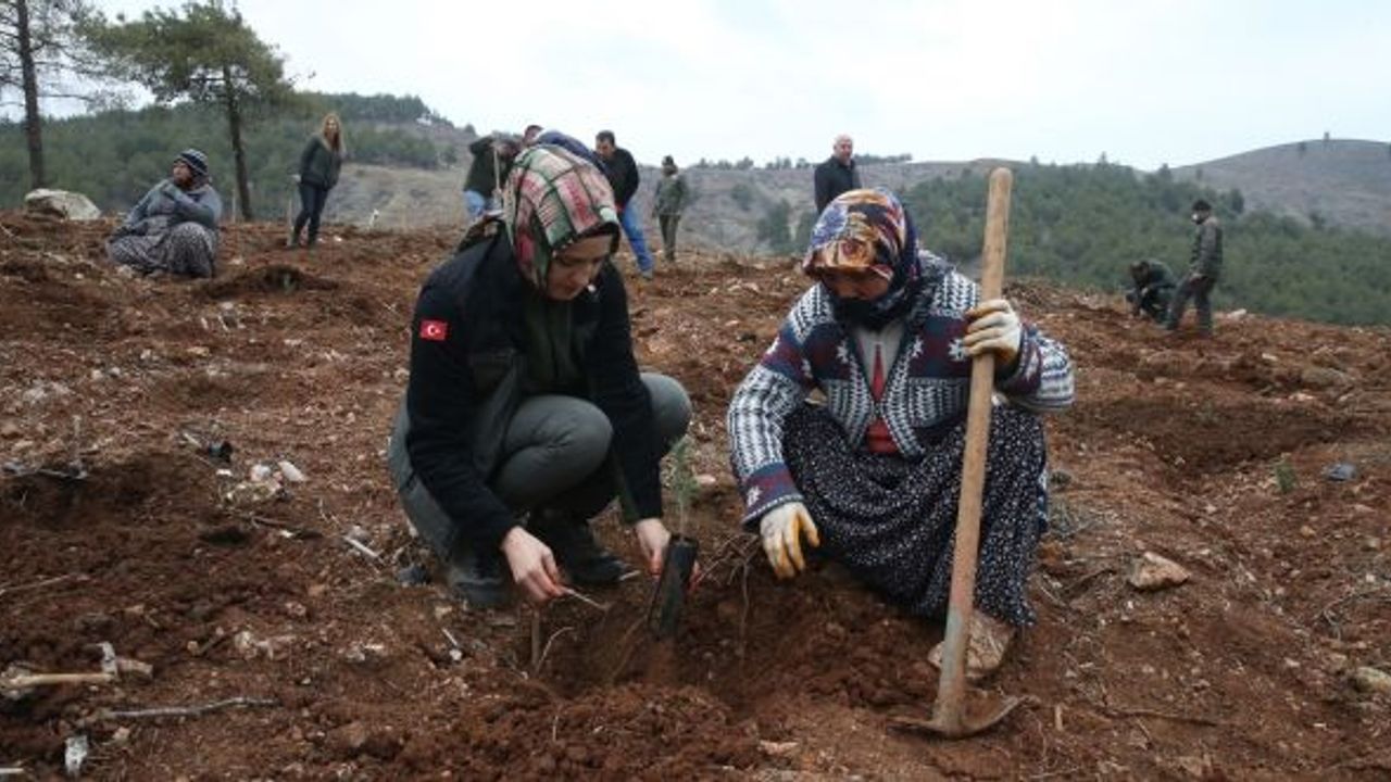 Kahramanmaraş'ta 2 milyon fidan toprakla buluşacak