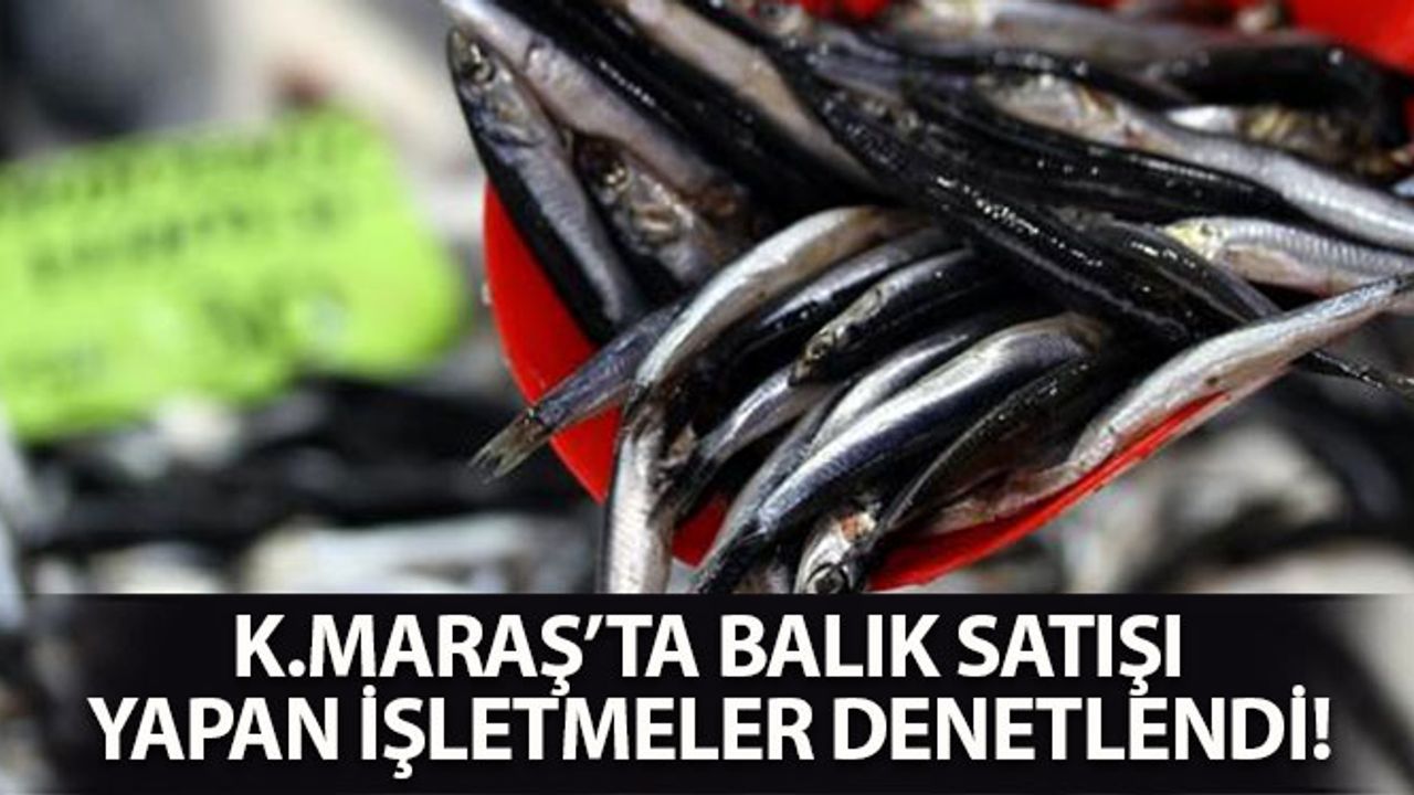 Kahramanmaraş'ta Balık Satışı Yapan İşletmeler Denetlendi