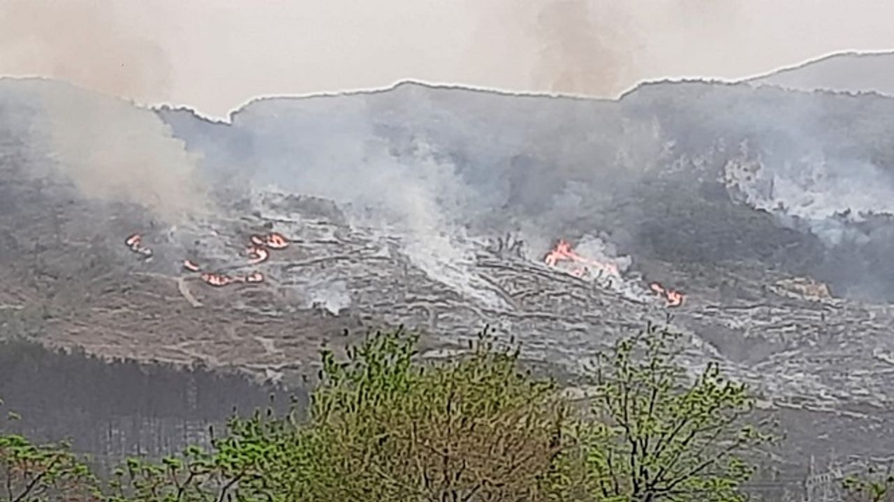 Hatay'da Orman Yangını İki Noktada Devam Ediyor