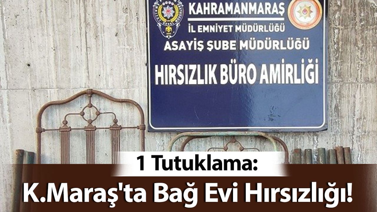 Kahramanmaraş'ta Bağ Evi Hırsızlığı: 1 Tutuklama