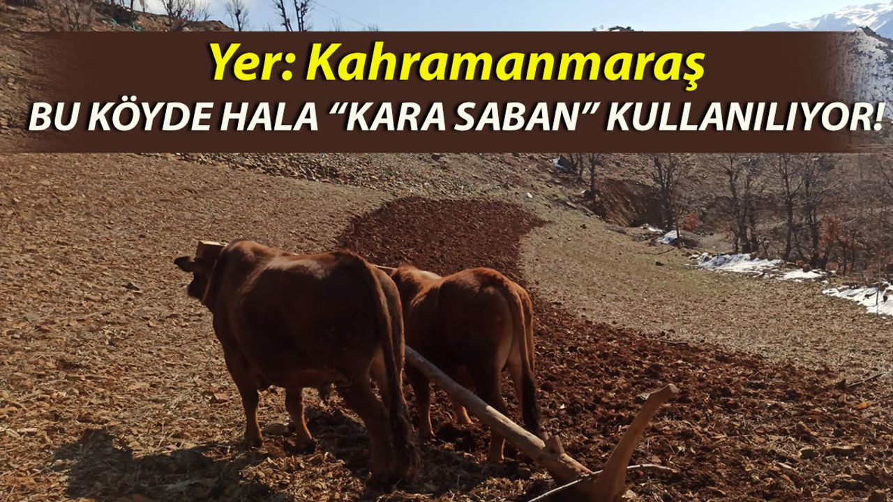 Kahramanmaraş'taki Bu Köyde Hala "Kara Saban" Kullanılıyor