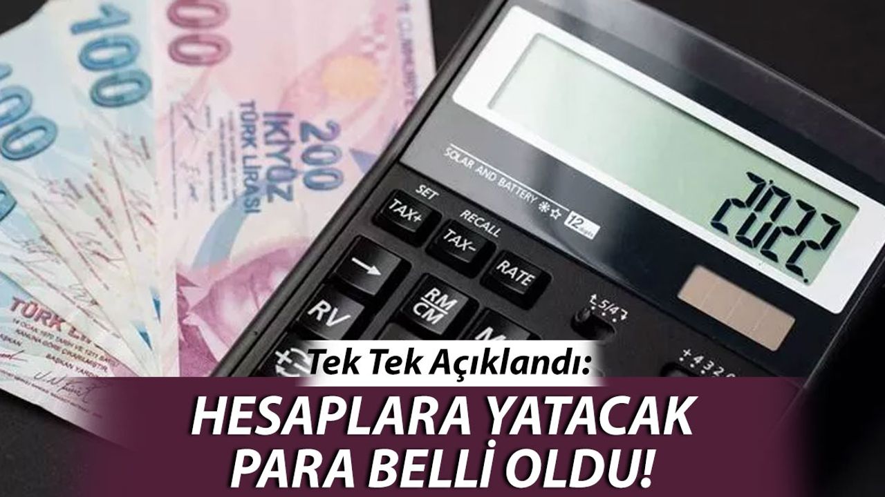 Kalem Kalem Açıkladılar: Hesaplara Yatacak Para Belli Oldu