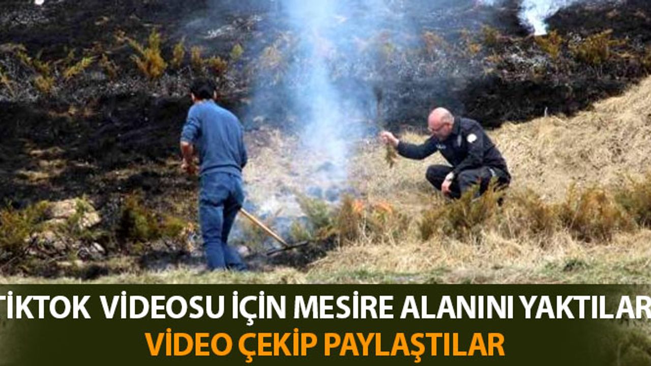 Tiktok Videosu İçin Mesire Alanını Yaktılar