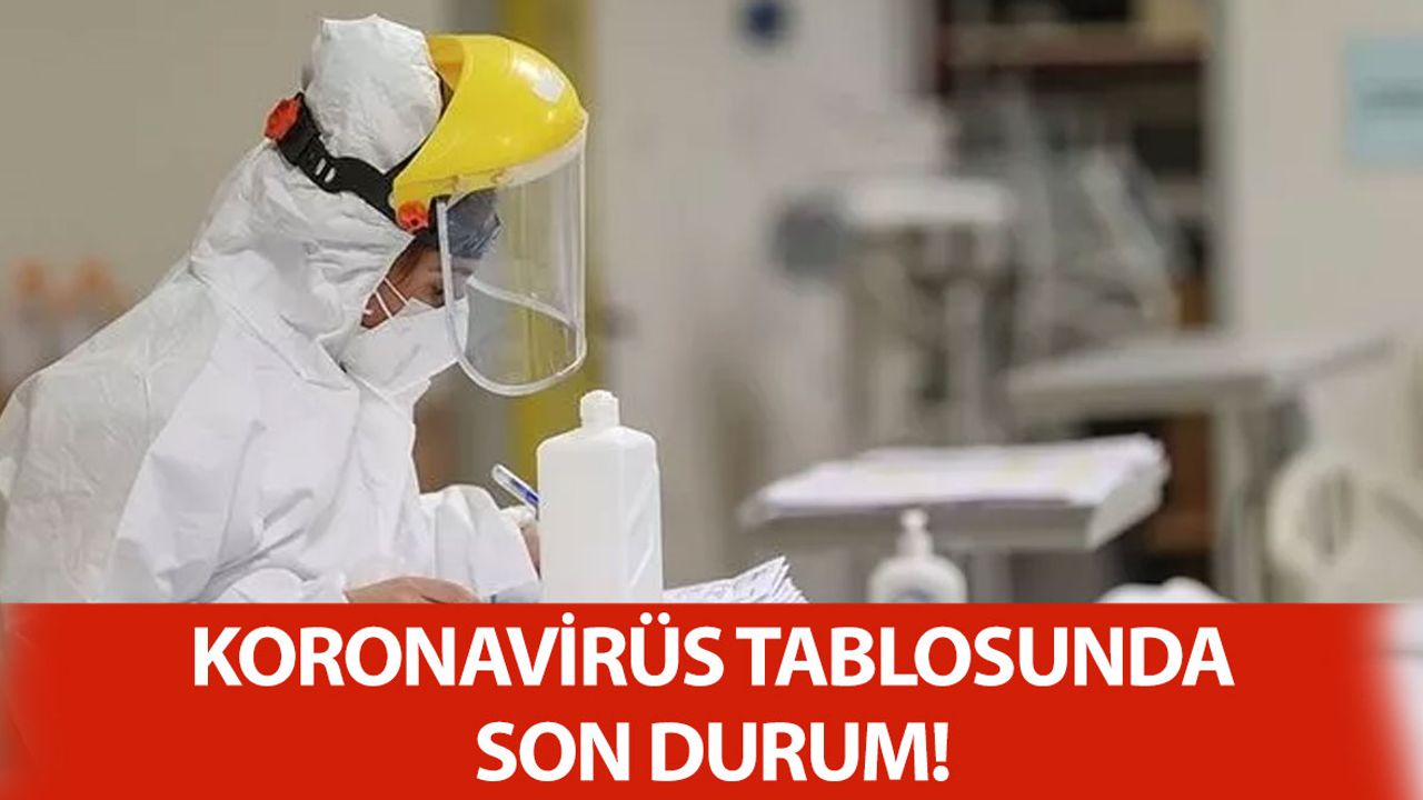 31 Mayıs Koronavirüs Tablosu Belli Oldu
