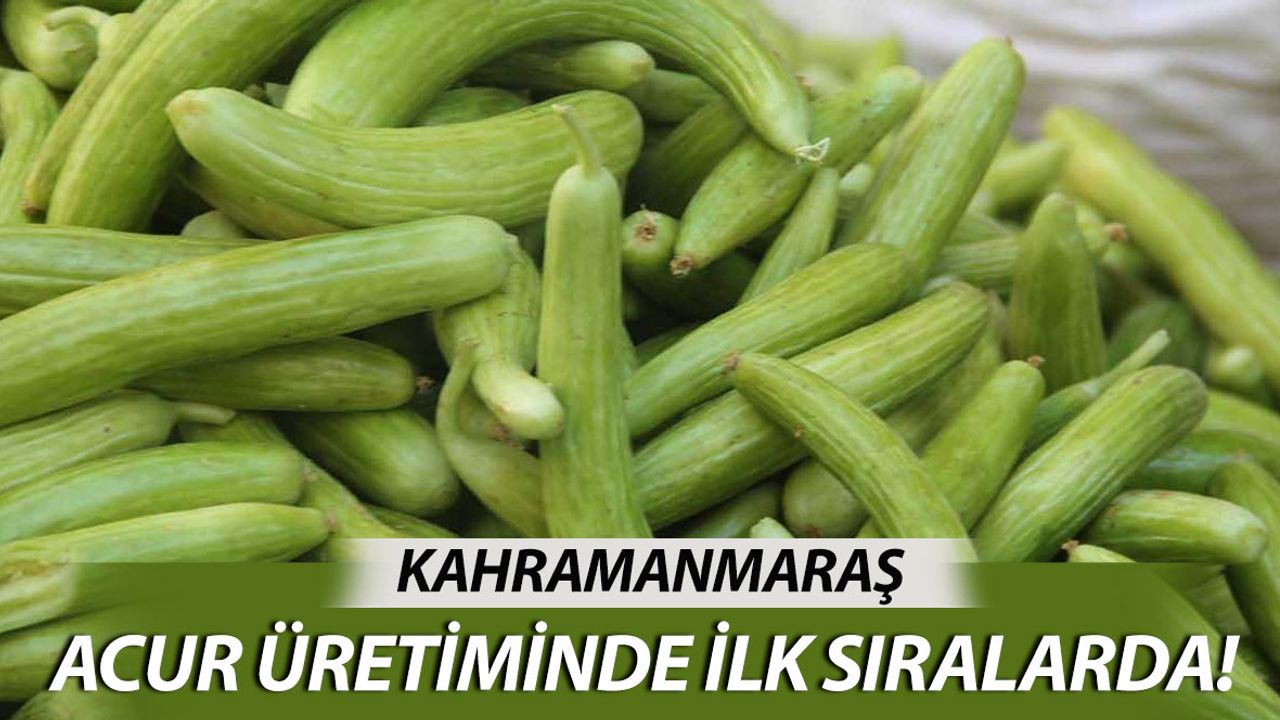 Acur Üretiminde Kahramanmaraş Rekor Kırdı