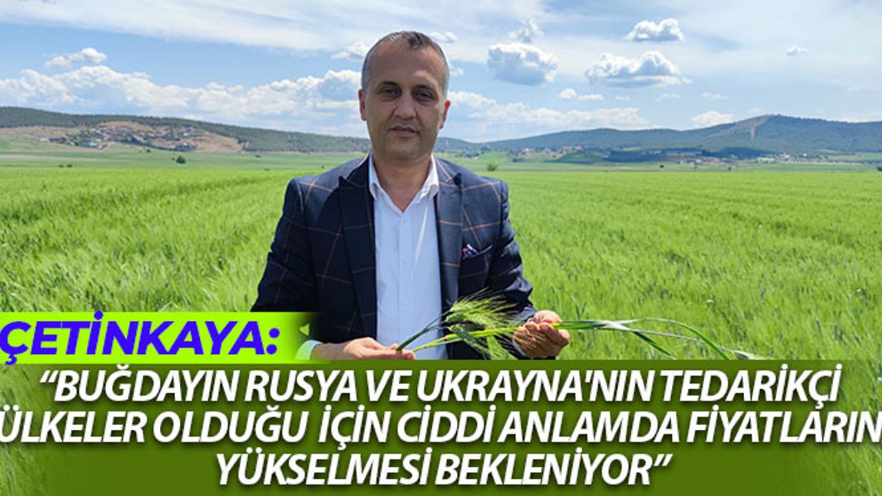 Çetinkaya: "Buğday Fiyatlarının Yükselmesi Bekleniyor"
