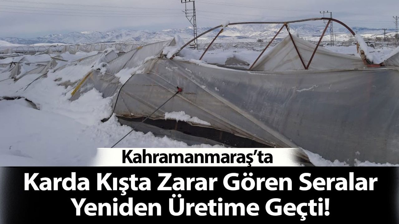 Kahramanmaraş'ta Zarar Gören Seralar, Yeniden Üretime Başladı