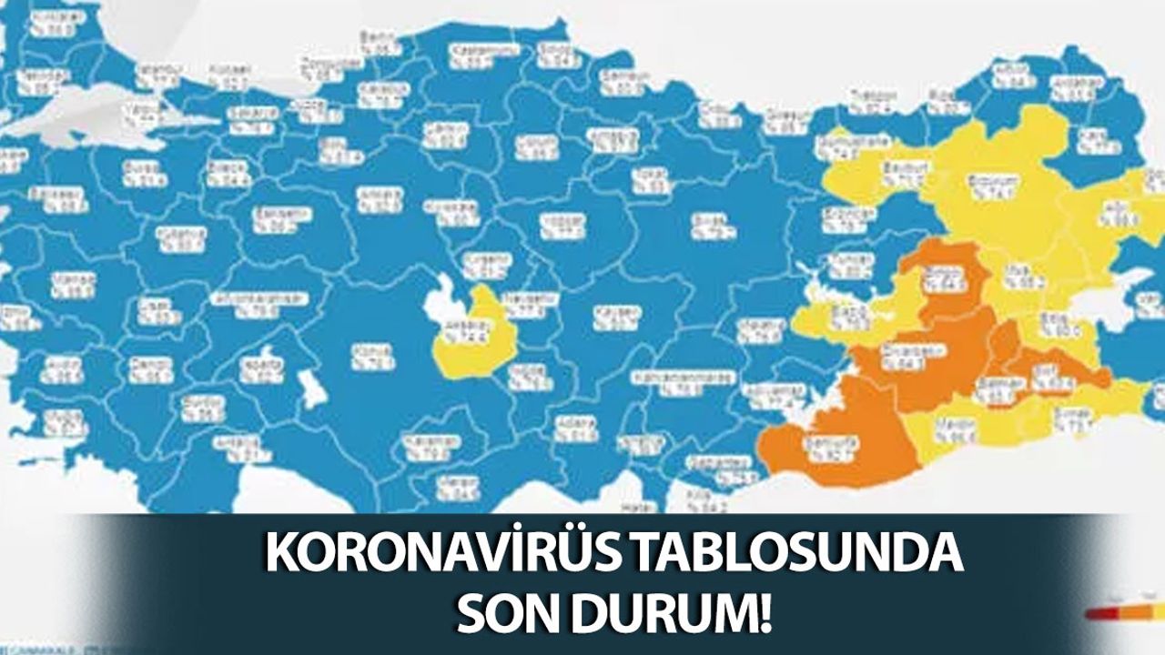 Tablo Belli Oldu: İşte Vakalarda Son Durum