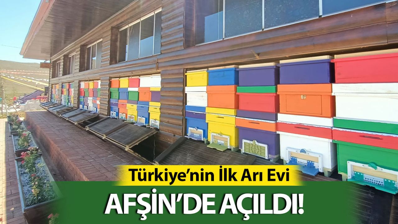 Türkiye'nin İlk Arı Evi Afşin'de Açıldı