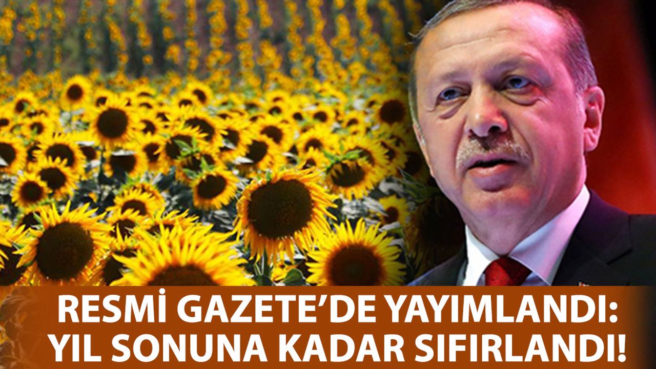 Fiyatı Cep Yakan Ayçiçeği Yağı İçin Yeni Adım