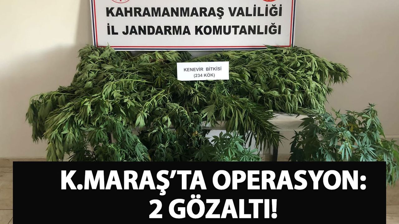 Kahramanmaraş'ta Evlerinde Kenevir Yetiştiren 2 Kişi Yakalandı