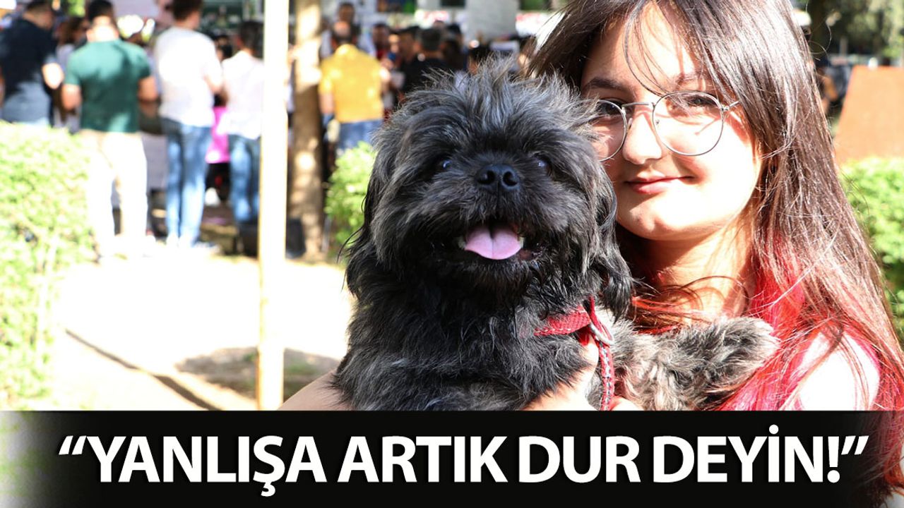 Kahramanmaraş'ta Hayvanseverler: Yanlışa Artık Dur Deyin