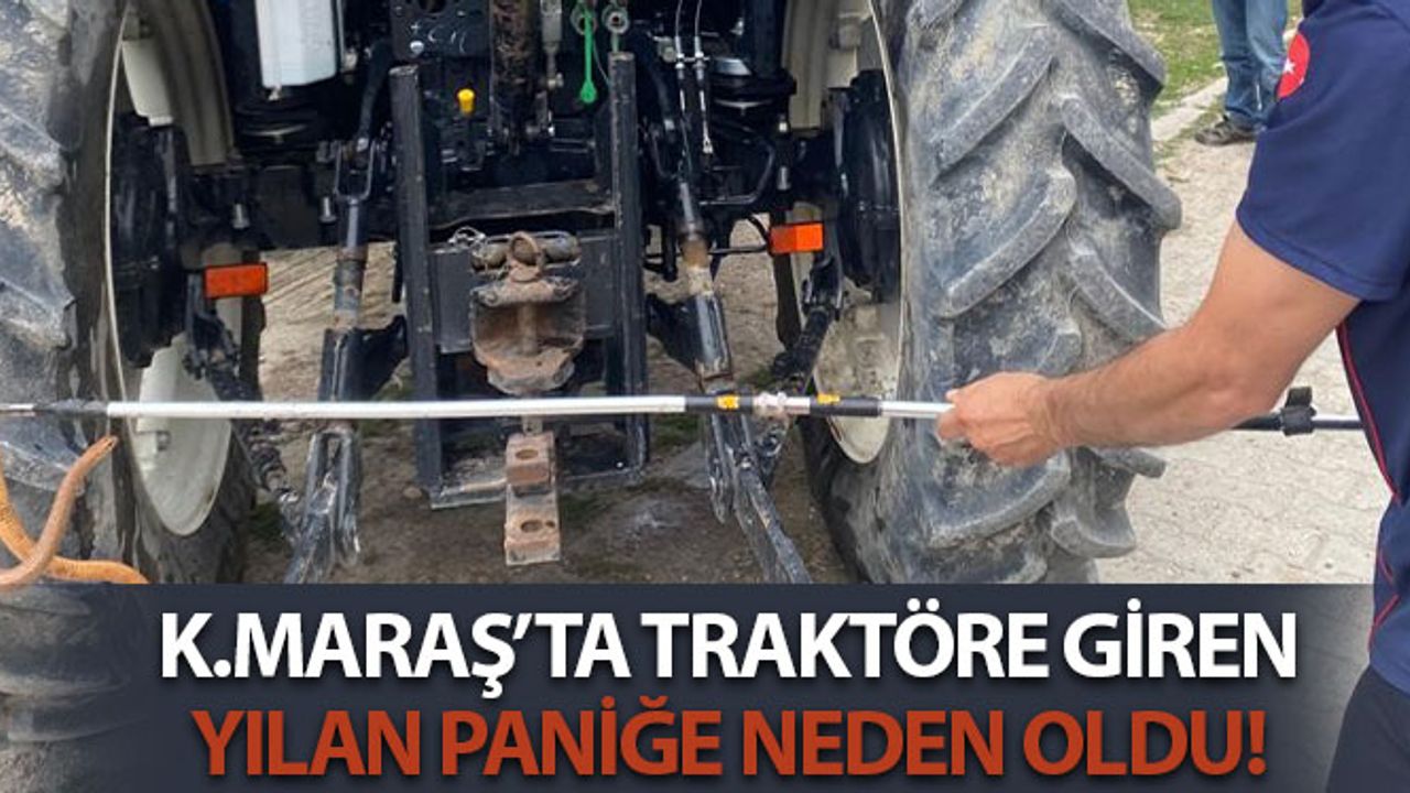 Kahramanmaraş'ta Traktöre Giren 1,5 Metrelik Yılan Paniğe Neden Oldu