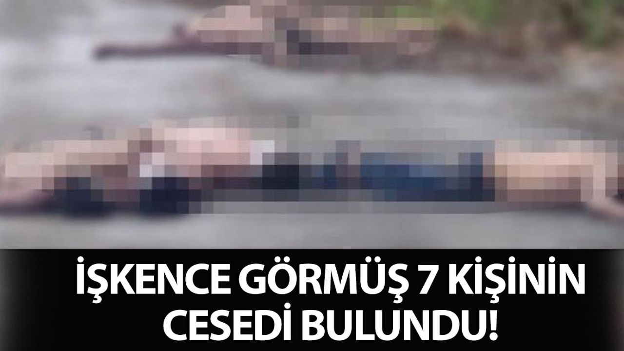 Otoyolda İşkence Görmüş 7 Kişinin Cesedi Bulundu