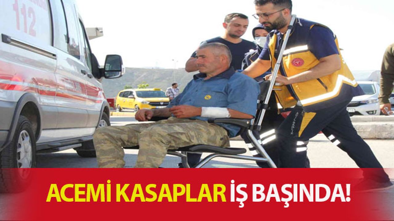 Bir Bayram Klasiği! Acemi Kasaplar Yine İş Başında