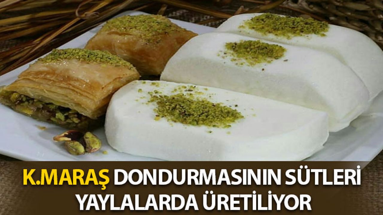 Kahramanmaraş Dondurmasının Sütleri Yaylalarda Üretiliyor