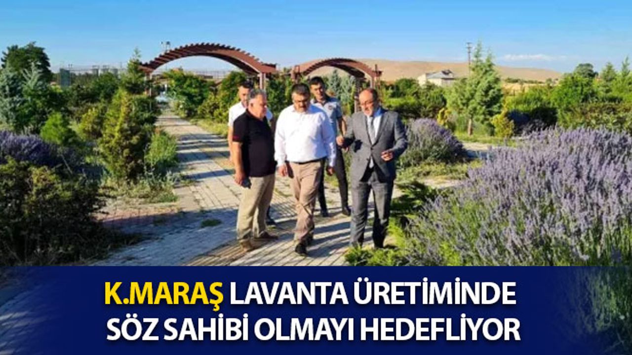 Kahramanmaraş Lavanta Üretiminde Söz Sahibi Olmayı Hedefliyor