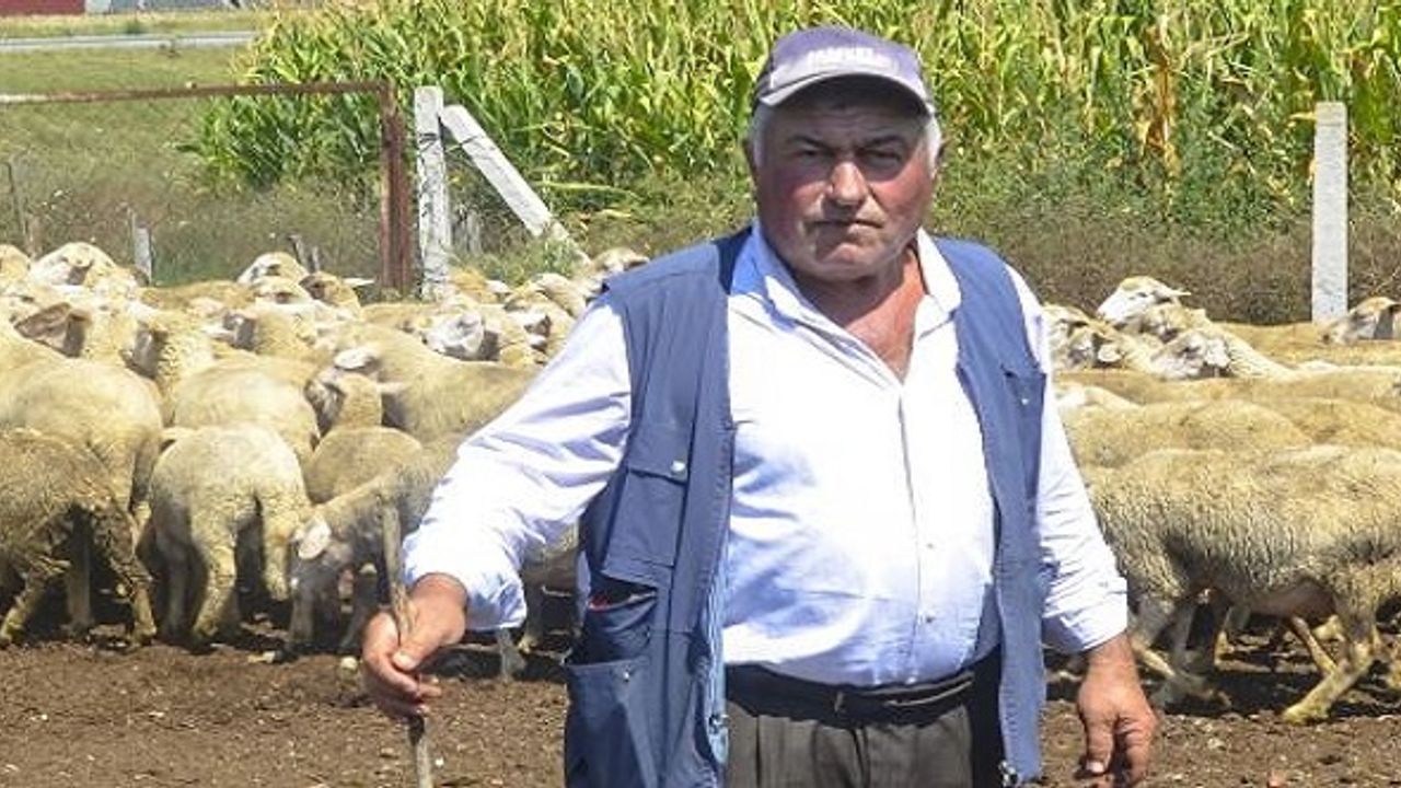 10 Bin TL'ye Çalıştıracak Çoban Bulamıyor!